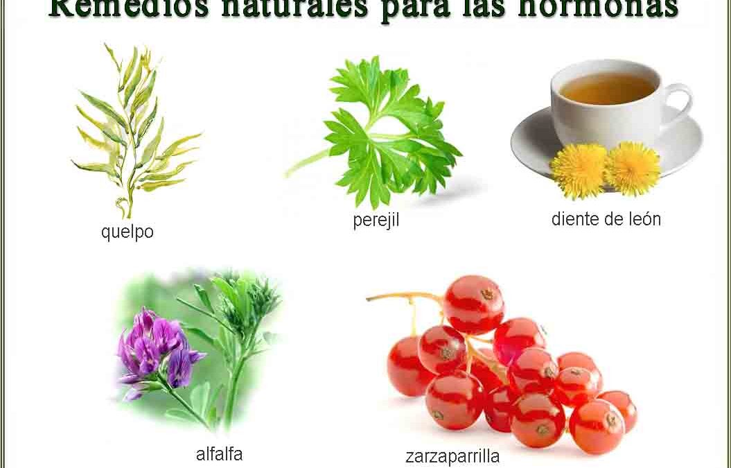 Remedios Naturales para regular las hormonas