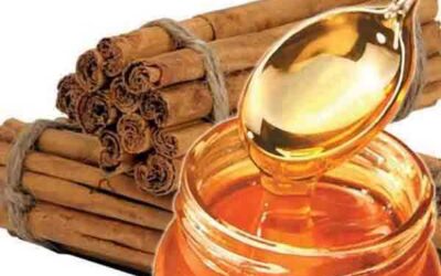 Infusiones para eliminar la grasa abdominal