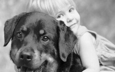 ¿Porque los perros viven menos que los hombres?