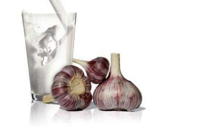 Leche de ajo para la ciática