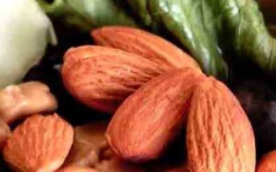 RECOMENDACIÓN PARA NUEVOS VEGANOS