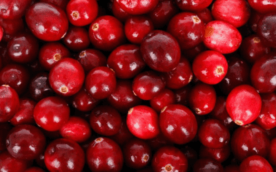 La fruta del año: arándanos rojos