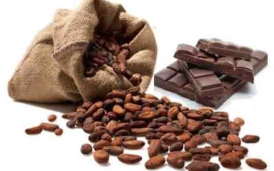 EL CACAO PREVIENE DIABETES