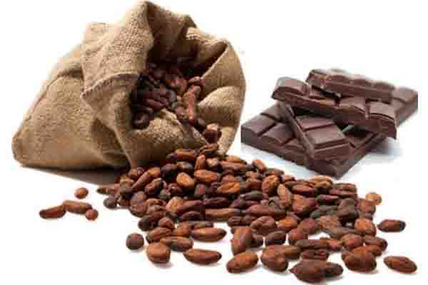 EL CACAO PREVIENE DIABETES