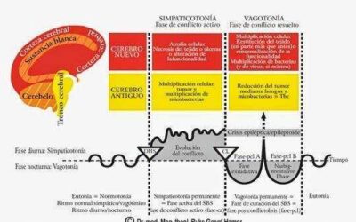 13 CONSEJOS DEL DR. HAMER PARA SANARSE