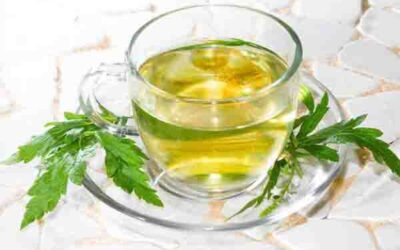 COMBATE LA ANSIEDAD CON VERBENA EN INFUSIÓN
