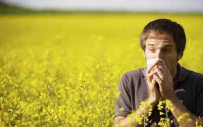 Remedios naturales para combatir las alergias primaverales