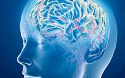 11 cosas que dañan tu cerebro