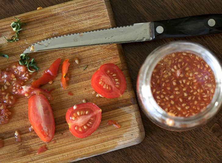 tomato-seeds-537x394