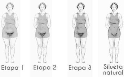 TIPOS DE SILUETA SEGUN EL FUNCIONAMIENTO HORMONAL