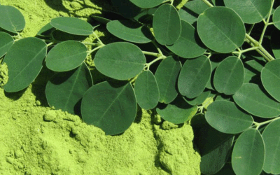 La moringa, una superplanta