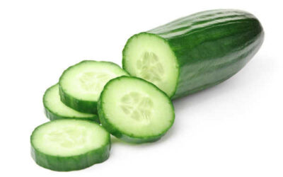 Propiedades nutricionales del pepino