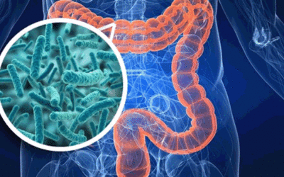Los próbioticos, medicina para nuestro cuerpo