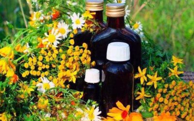 HIERBAS NATURALES PARA TRATAMIENTO DEL LUPUS