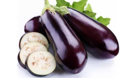 Propiedades nutricionales de la Berenjena