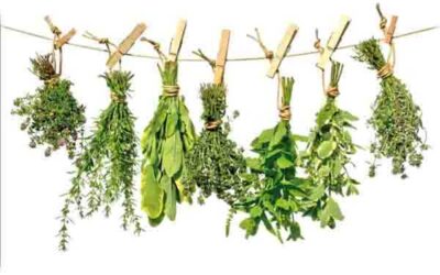 Fitoterapia para el síndrome del colon irritable