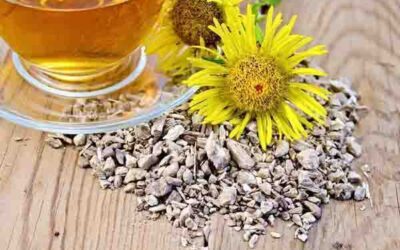Infusiones con helenio para la tos y bronquitis