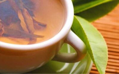 Fitoterapia analgésica:  Sauce blanco