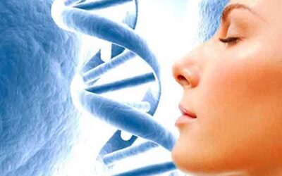 6 TEJIDOS REGENERABLES CON LA NUTRICIÓN