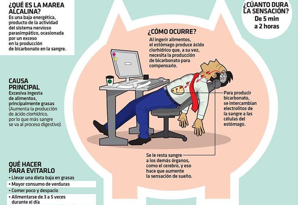 Sueño después de comer 3 motivos asombrosos