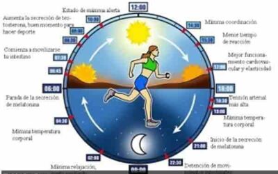 CICLO CIRCADIANO