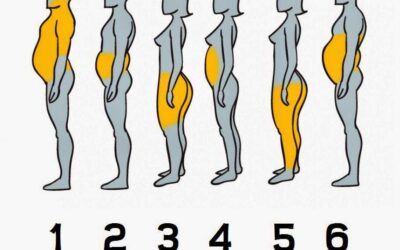 Tipos de grasa corporal y como eliminarla