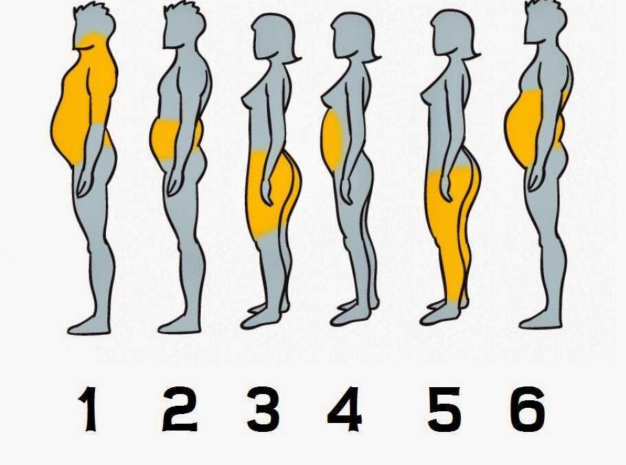 Tipos de grasa corporal y como eliminarla