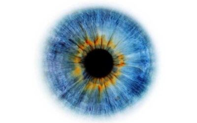 5 alimentos para fortalecer el sentido de la vista