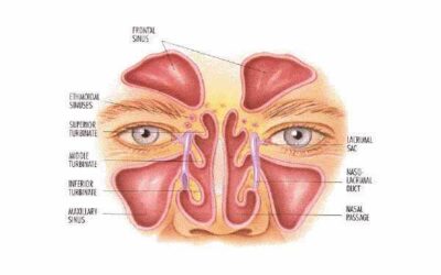 ACUPRESIÓN PARA DESBLOQUEAR LOS SENOS PARANASALES