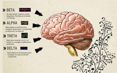 3 Cambios en tu Cerebro al Meditar