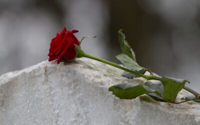 ¿CUÁLES SON LAS ETAPAS DEL DUELO?