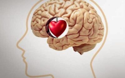 15 reglas que te ayudaran a purificar emocionalmente