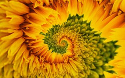 ¿Qué es la respiración Holotrópica y para qué sirve?