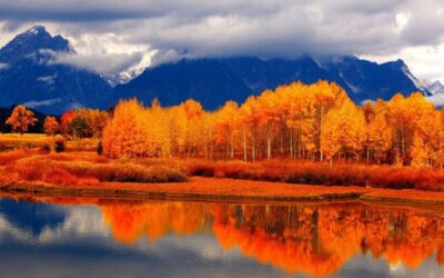 Consejos para disfrutar del otoño