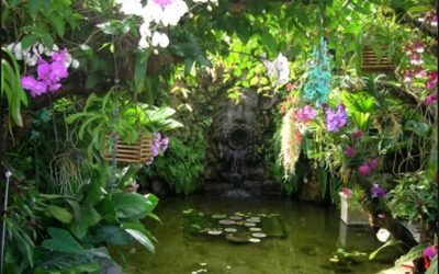 Cinco técnicas de meditación efectivas para lograr la paz interior