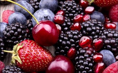 El resveratrol y el Alzeimer