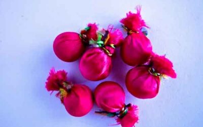 REMEDIOS NATURALES PARA LA PRESIÓN ALTA