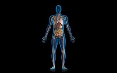 SEÑALES DE ALERTA QUE NOS DA EL CUERPO