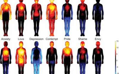 Los colores de nuestras 14 emociones básicas