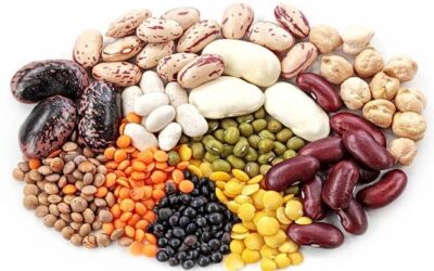 LEGUMBRES y CEREALES : EL ALIMENTO ESENCIAL