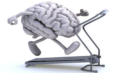 Entrenemos al cerebro