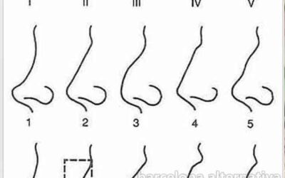 LECTURAS DE LAS FACCIONES HUMANAS