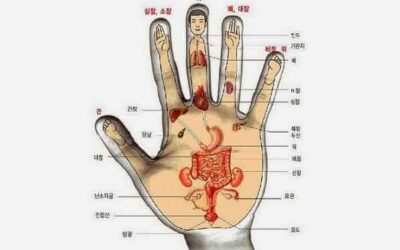 CINCO PUNTOS DE PRESIÓN DE LA MANO