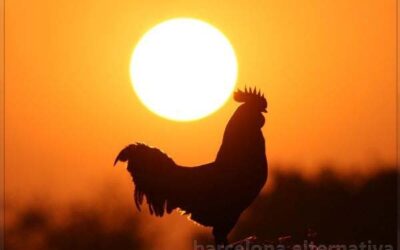 10 Cosas que vale la pena hacer