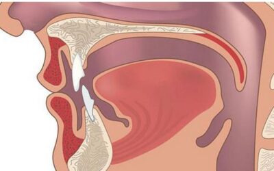 CARACTERÍSTICAS DE TU CUERPO QUE NO SABES