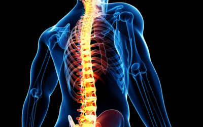 ALINEAR LA COLUMNA VERTEBRAL