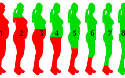 CAMBIA TUS HÁBITOS Y BAJA DE PESO