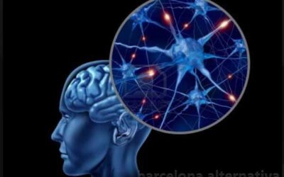 CONSEJOS PARA FORTALECER LAS NEURONAS