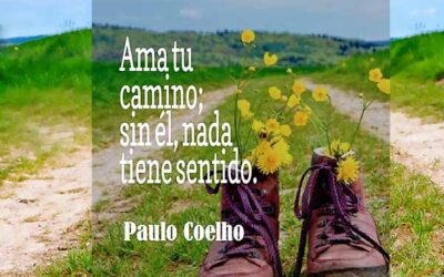 Ama tu camino