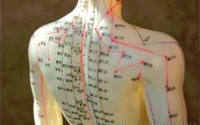 Centros acumuladores de energía en el cuerpo humano